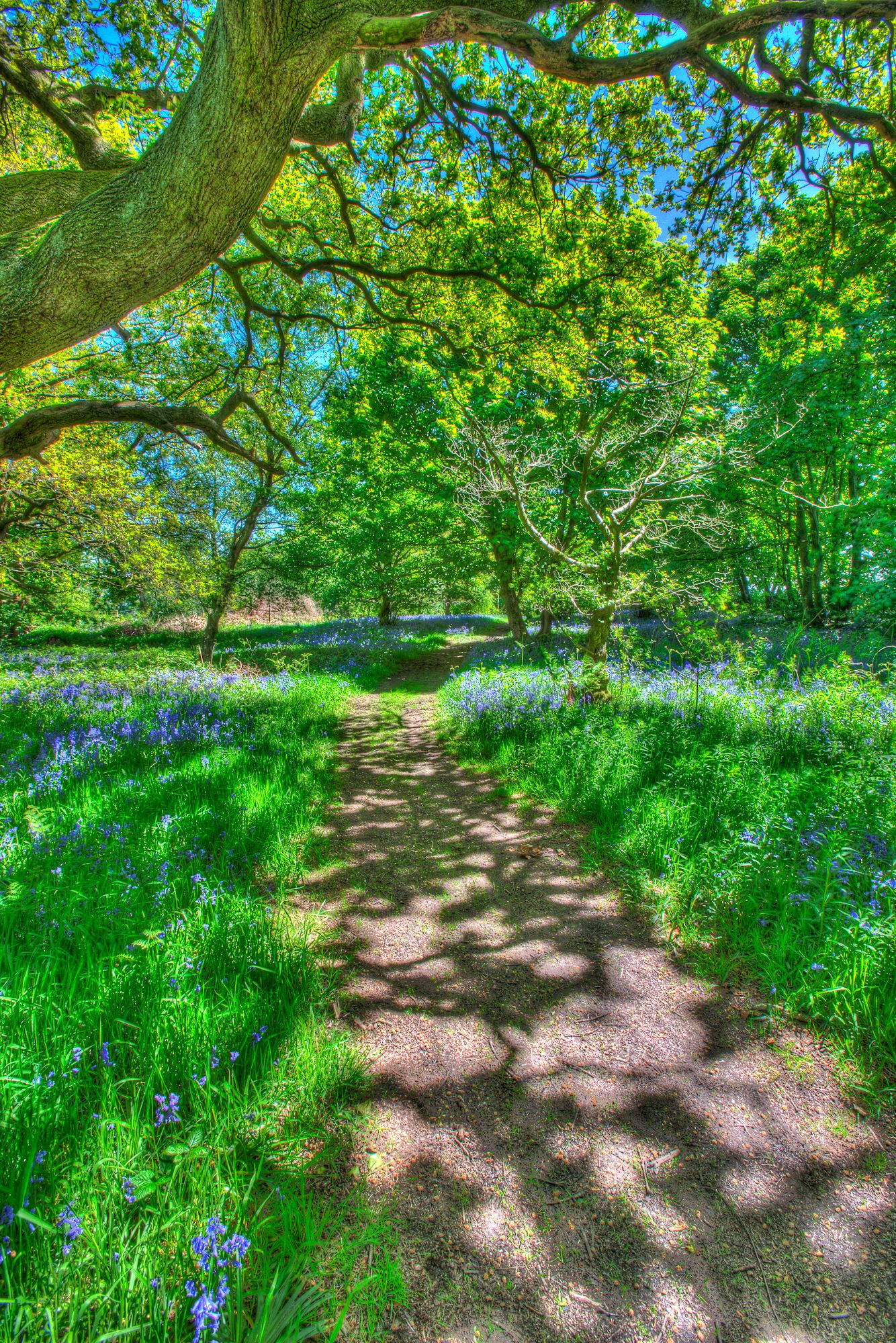 Alsagers Bank, Staffordshire