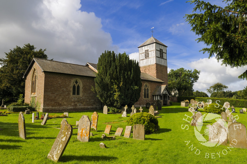 Roof Repair Brimfield Herefordshire (SY8)