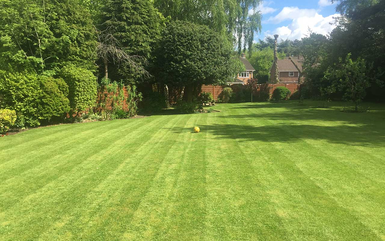 Roof Repair Lawns Wood West Midlands (B45)