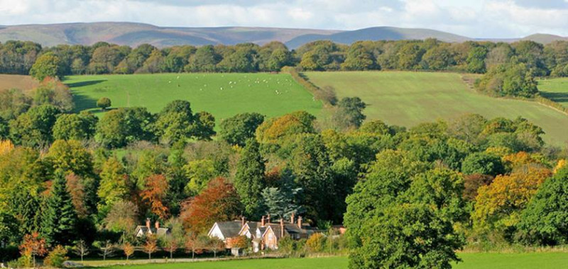 Roof Repair Westhope Shropshire (SY7)