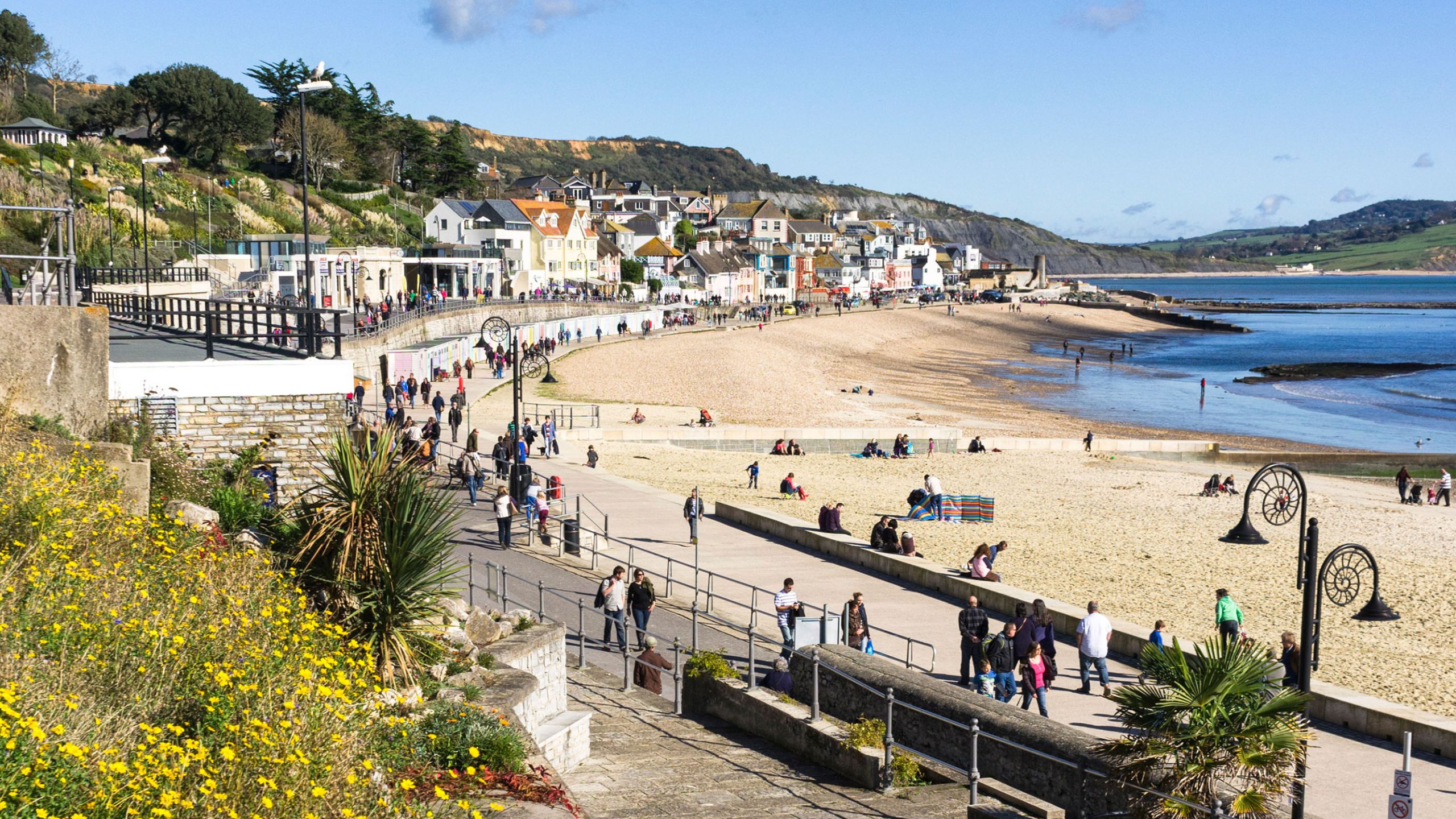 Roof Repair Lyme Regis Dorset (DT7)