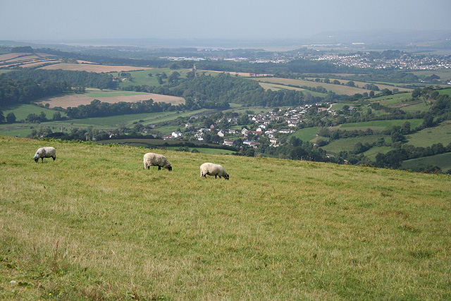 Roof Repair Bishop’s Tawton Devon (EX32)