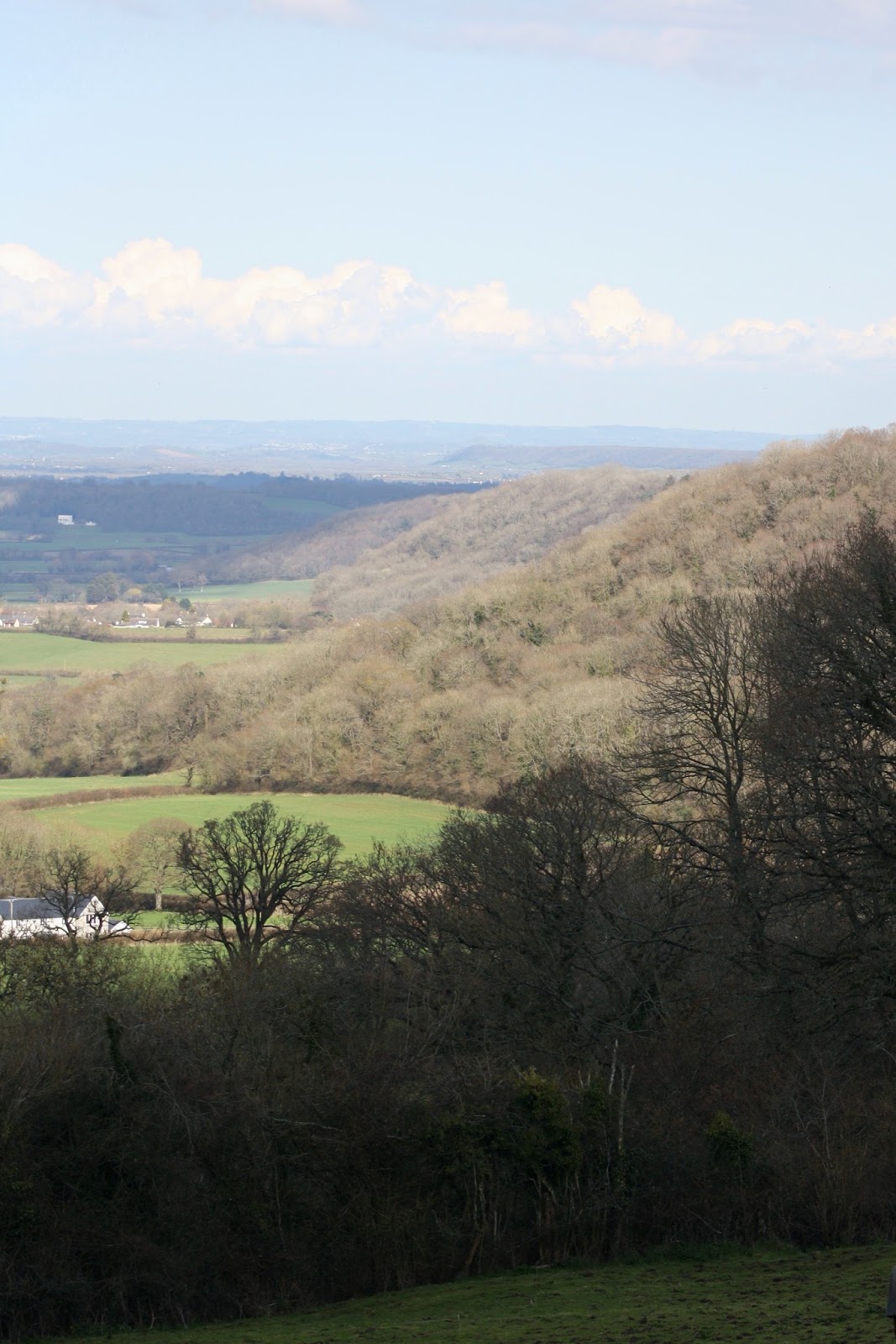 Roof Repair Blagdon Hill Somerset (TA3)