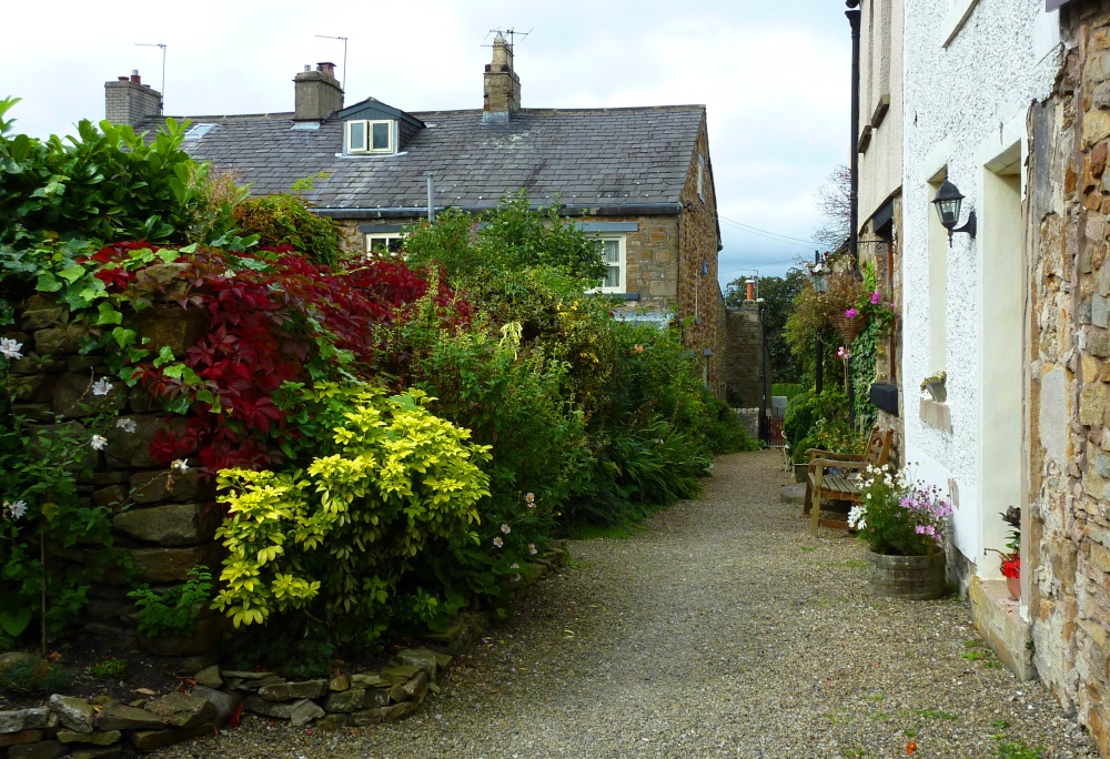 Roof Repair Wiswell Lancashire (BB7)